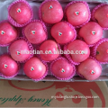 /msite/products/detail/productid/54855493/id/542998.html